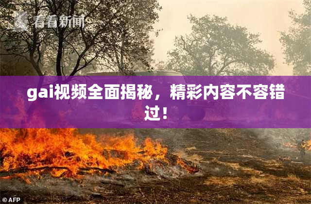 gai视频全面揭秘，精彩内容不容错过！