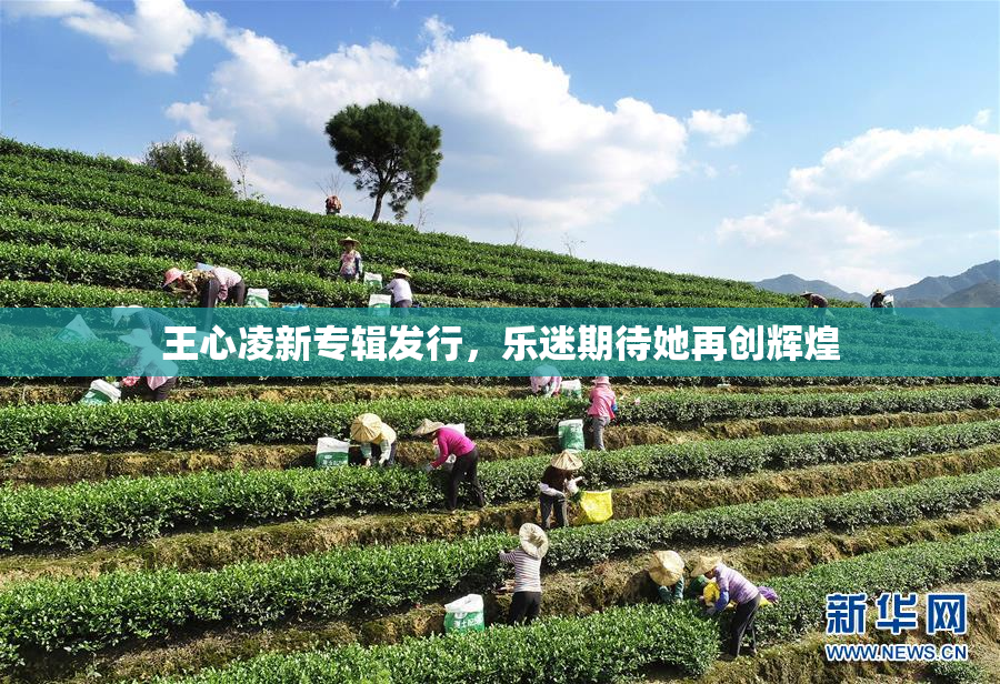 王心凌新专辑发行，乐迷期待她再创辉煌