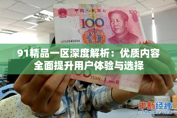 91精品一区深度解析：优质内容全面提升用户体验与选择
