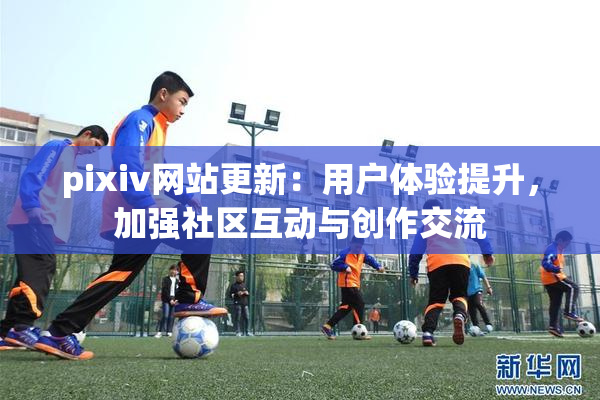 pixiv网站更新：用户体验提升，加强社区互动与创作交流