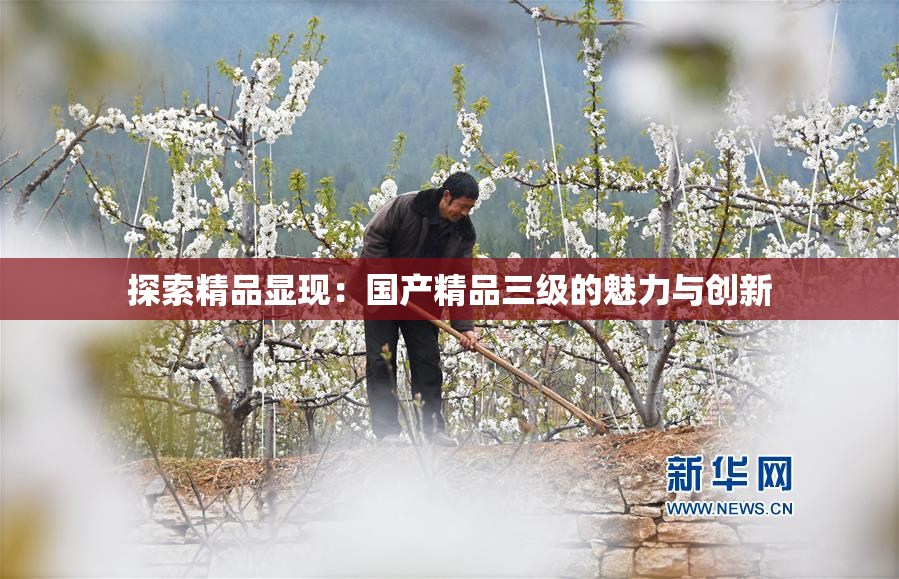 探索精品显现：国产精品三级的魅力与创新