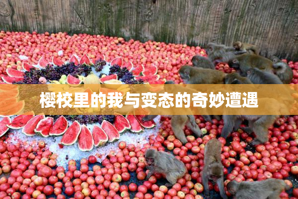 樱校里的我与变态的奇妙遭遇