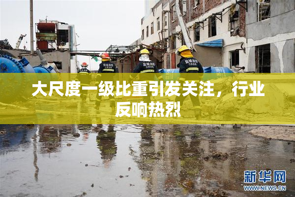 大尺度一级比重引发关注，行业反响热烈