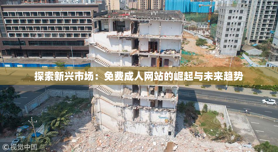 探索新兴市场：免费成人网站的崛起与未来趋势