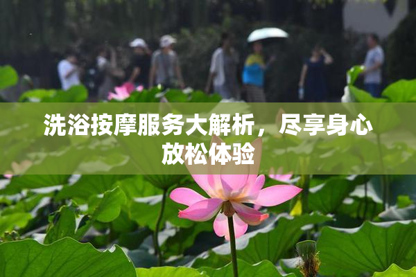 洗浴按摩服务大解析，尽享身心放松体验