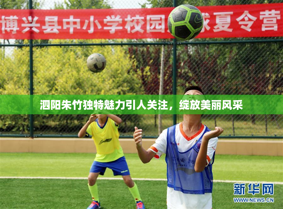 泗阳朱竹独特魅力引人关注，绽放美丽风采