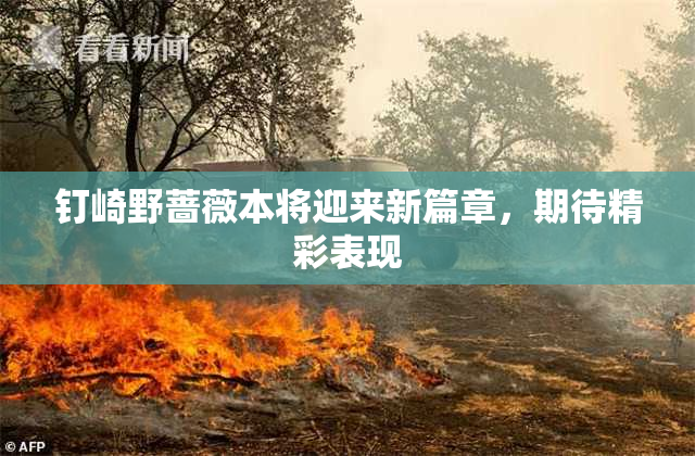 钉崎野蔷薇本将迎来新篇章，期待精彩表现