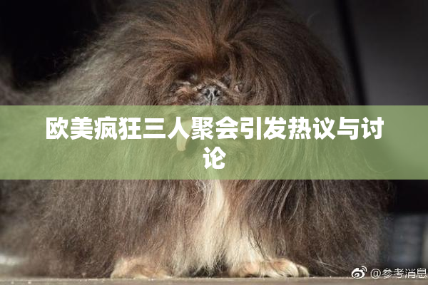 欧美疯狂三人聚会引发热议与讨论