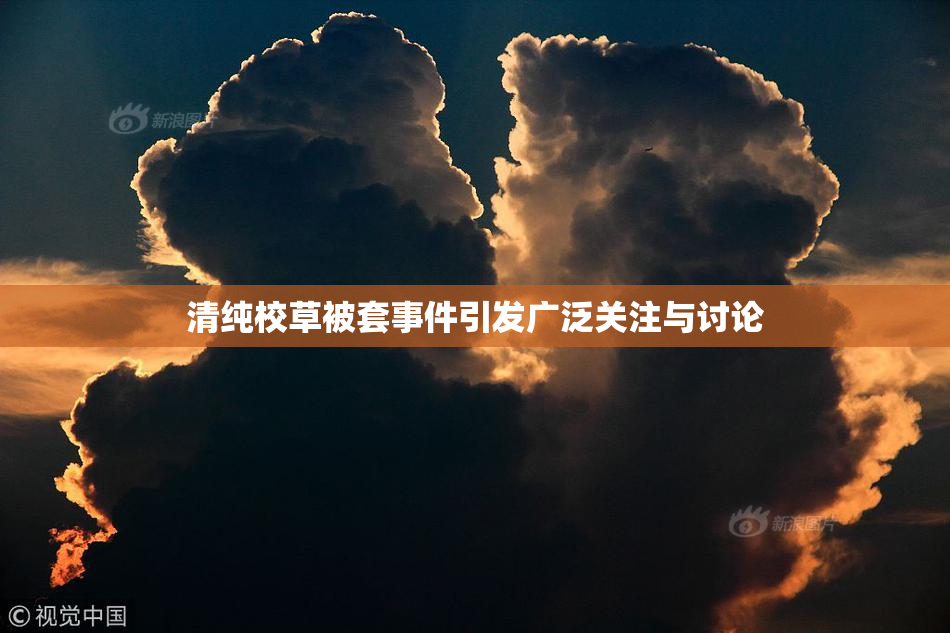 清纯校草被套事件引发广泛关注与讨论