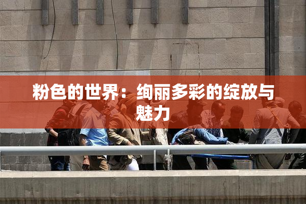 粉色的世界：绚丽多彩的绽放与魅力