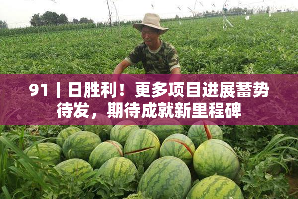 91丨日胜利！更多项目进展蓄势待发，期待成就新里程碑