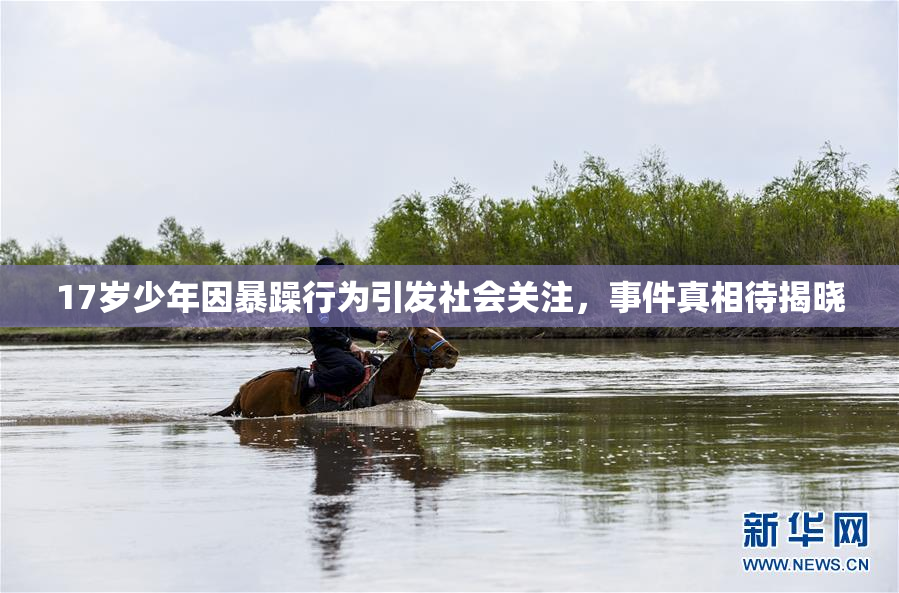 17岁少年因暴躁行为引发社会关注，事件真相待揭晓