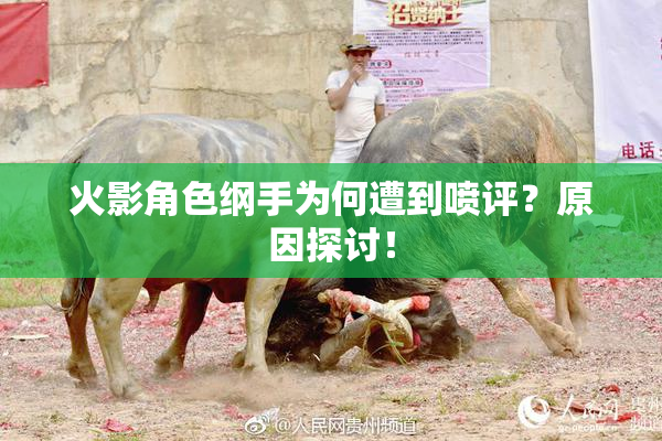 火影角色纲手为何遭到喷评？原因探讨！
