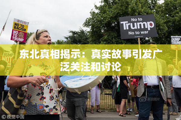 东北真相揭示：真实故事引发广泛关注和讨论