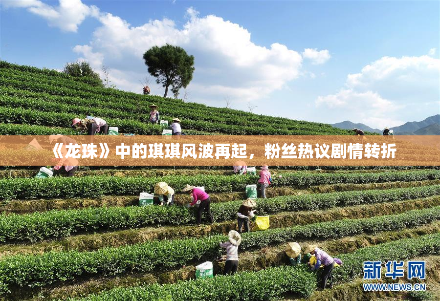 《龙珠》中的琪琪风波再起，粉丝热议剧情转折