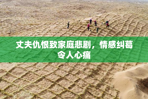 丈夫仇恨致家庭悲剧，情感纠葛令人心痛