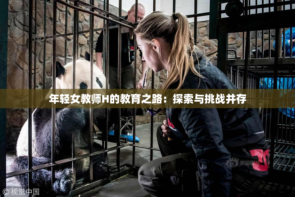 年轻女教师H的教育之路：探索与挑战并存