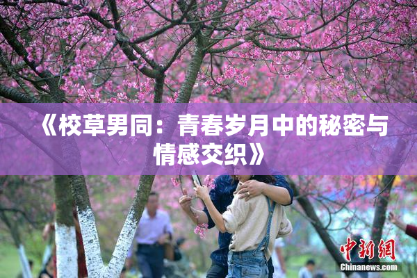 《校草男同：青春岁月中的秘密与情感交织》