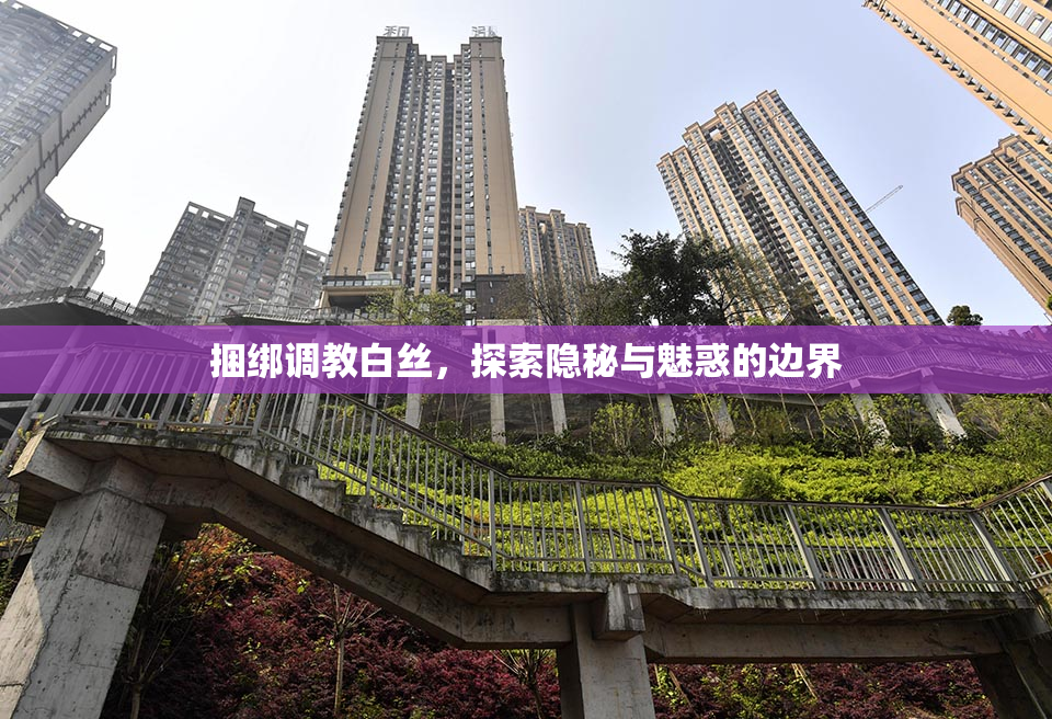 捆绑调教白丝，探索隐秘与魅惑的边界