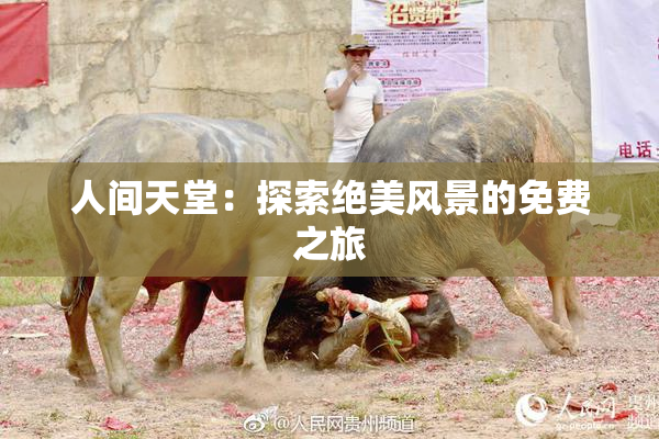 人间天堂：探索绝美风景的免费之旅