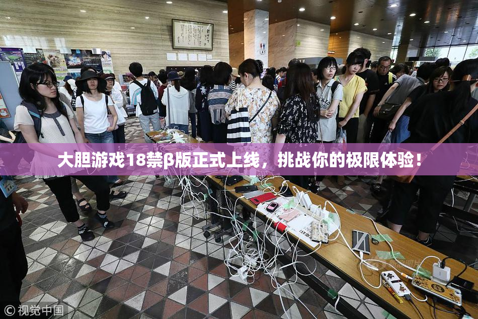 大胆游戏18禁β版正式上线，挑战你的极限体验！
