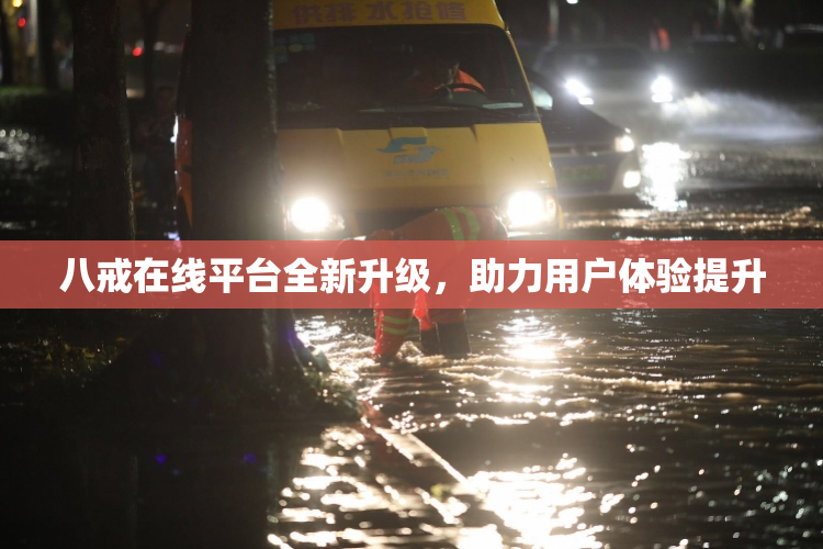 八戒在线平台全新升级，助力用户体验提升