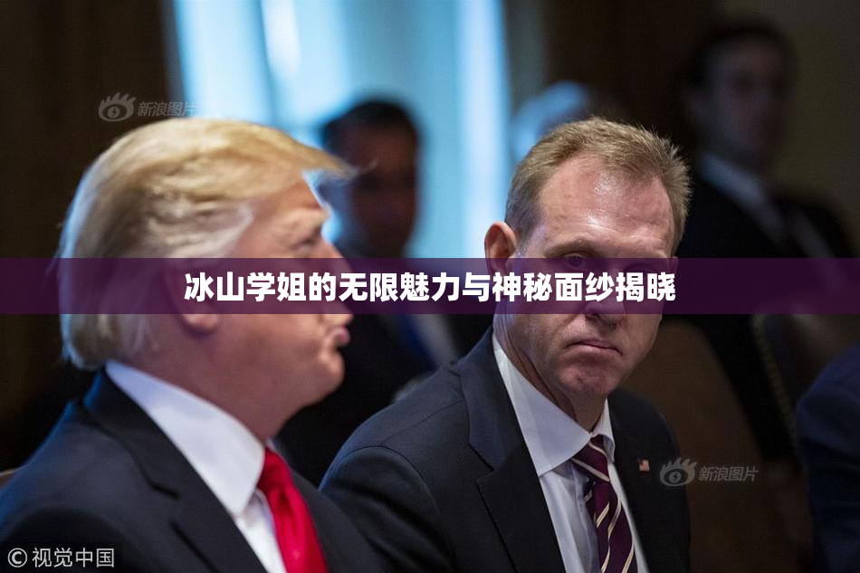 冰山学姐的无限魅力与神秘面纱揭晓