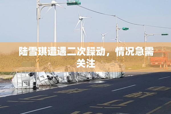 陆雪琪遭遇二次躁动，情况急需关注