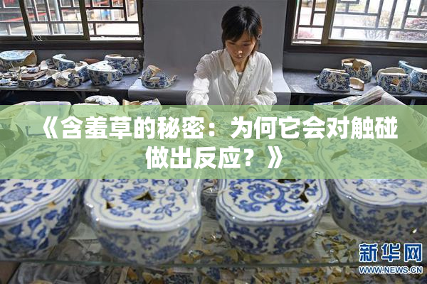 《含羞草的秘密：为何它会对触碰做出反应？》