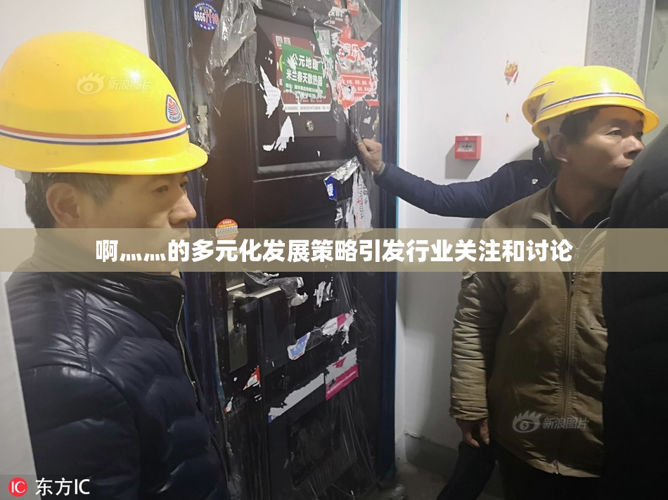 啊灬灬的多元化发展策略引发行业关注和讨论