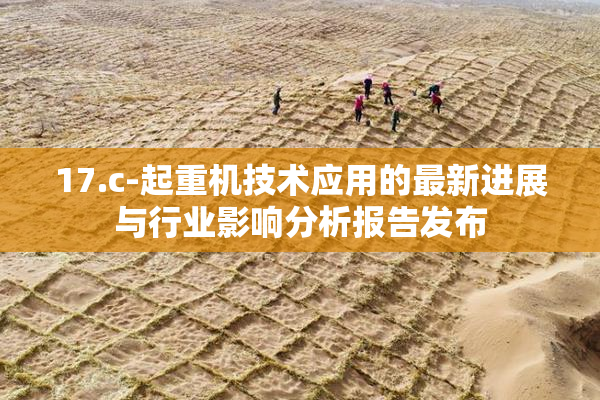 17.c-起重机技术应用的最新进展与行业影响分析报告发布