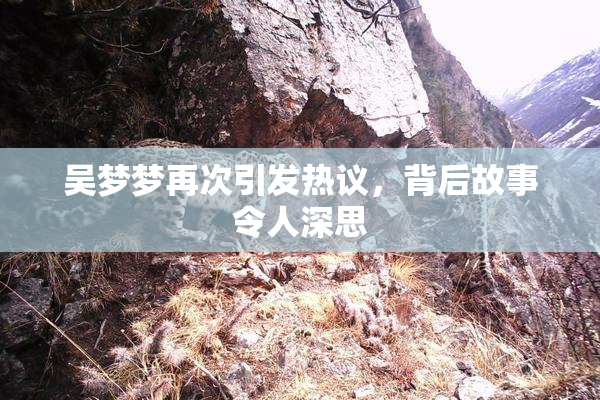 吴梦梦再次引发热议，背后故事令人深思