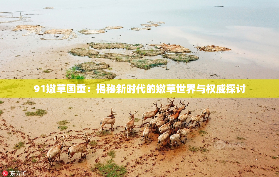 91嫩草国重：揭秘新时代的嫩草世界与权威探讨