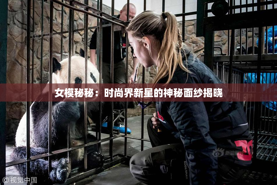 女模秘秘：时尚界新星的神秘面纱揭晓