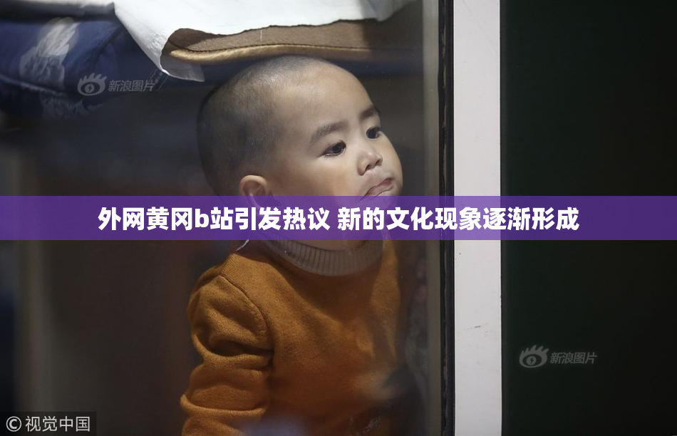 外网黄冈b站引发热议 新的文化现象逐渐形成