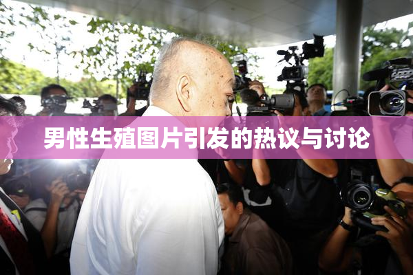 男性生殖图片引发的热议与讨论