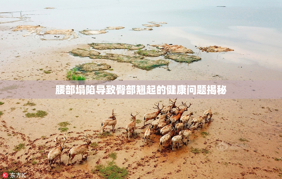 腰部塌陷导致臀部翘起的健康问题揭秘