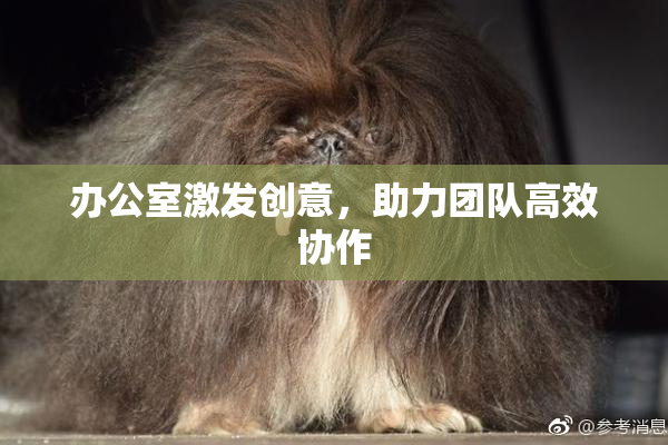 办公室激发创意，助力团队高效协作