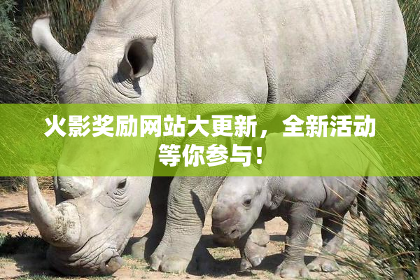 火影奖励网站大更新，全新活动等你参与！