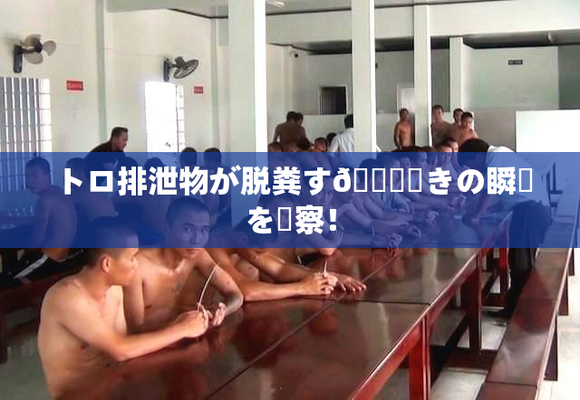 トロ排泄物が脱粪す🌃驚きの瞬間を観察！