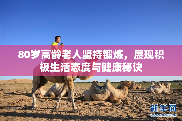 80岁高龄老人坚持锻炼，展现积极生活态度与健康秘诀