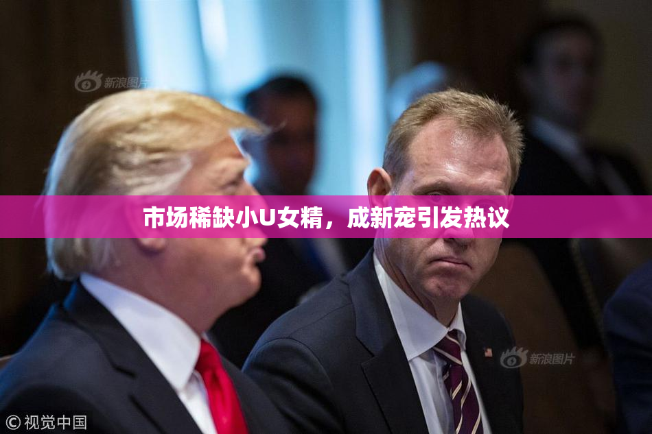 市场稀缺小U女精，成新宠引发热议