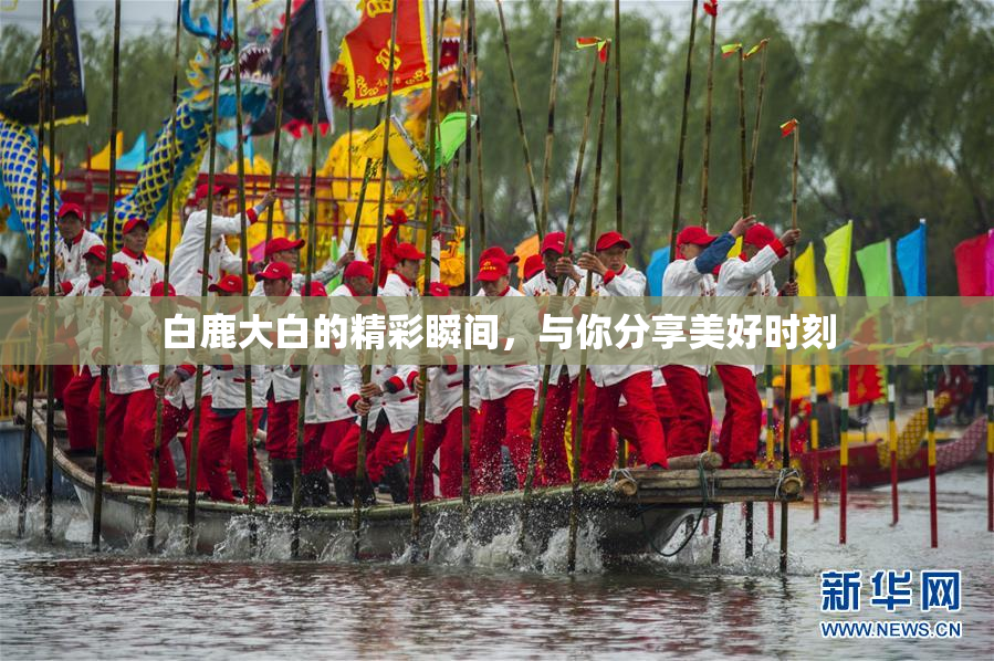 白鹿大白的精彩瞬间，与你分享美好时刻