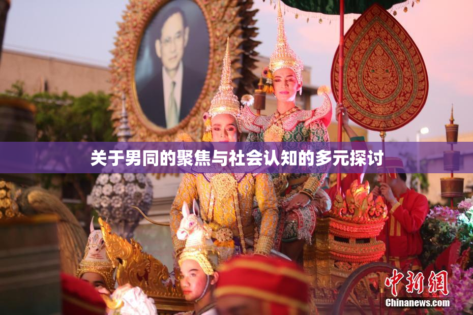 关于男同的聚焦与社会认知的多元探讨
