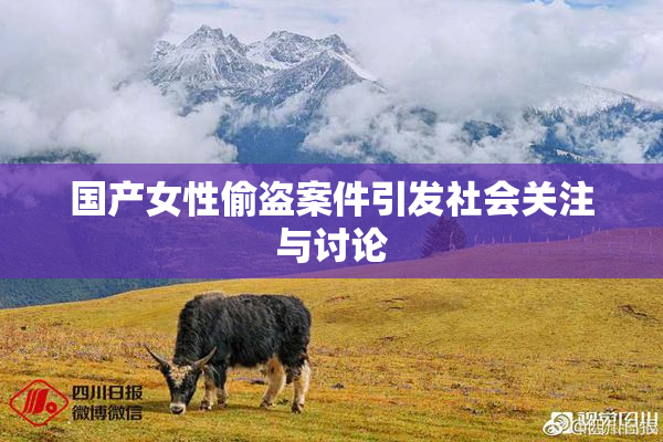 国产女性偷盗案件引发社会关注与讨论