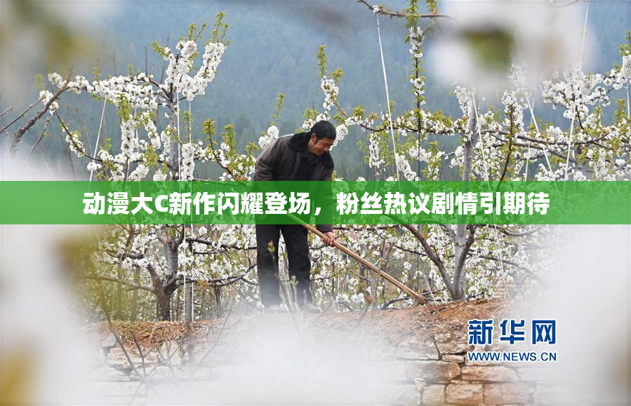 动漫大C新作闪耀登场，粉丝热议剧情引期待