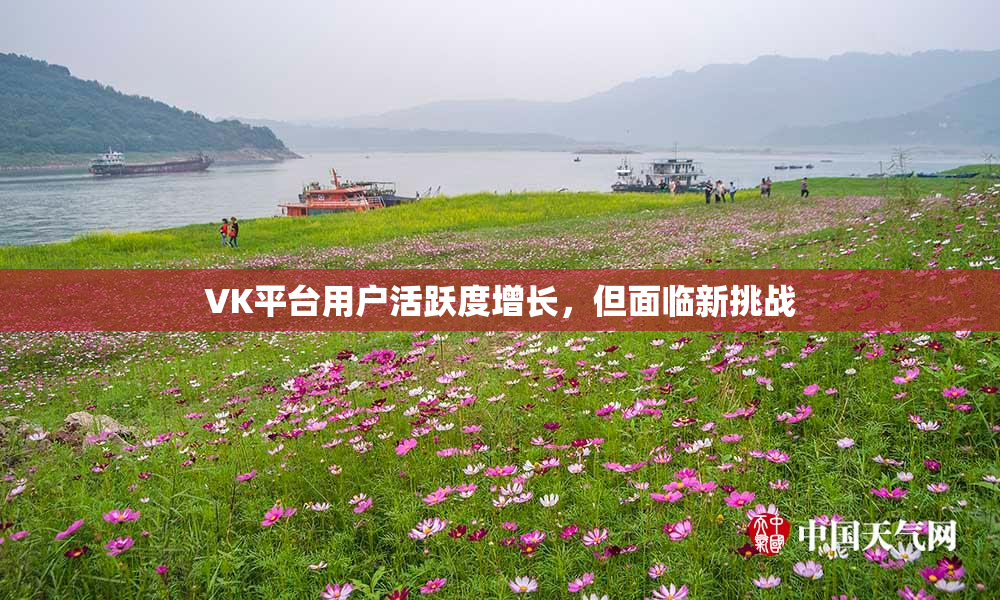 VK平台用户活跃度增长，但面临新挑战
