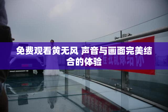 免费观看黄无风 声音与画面完美结合的体验