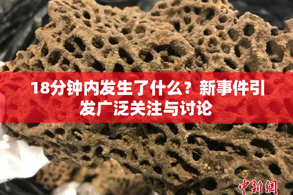 18分钟内发生了什么？新事件引发广泛关注与讨论