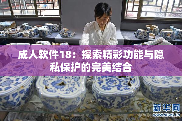 成人软件18：探索精彩功能与隐私保护的完美结合